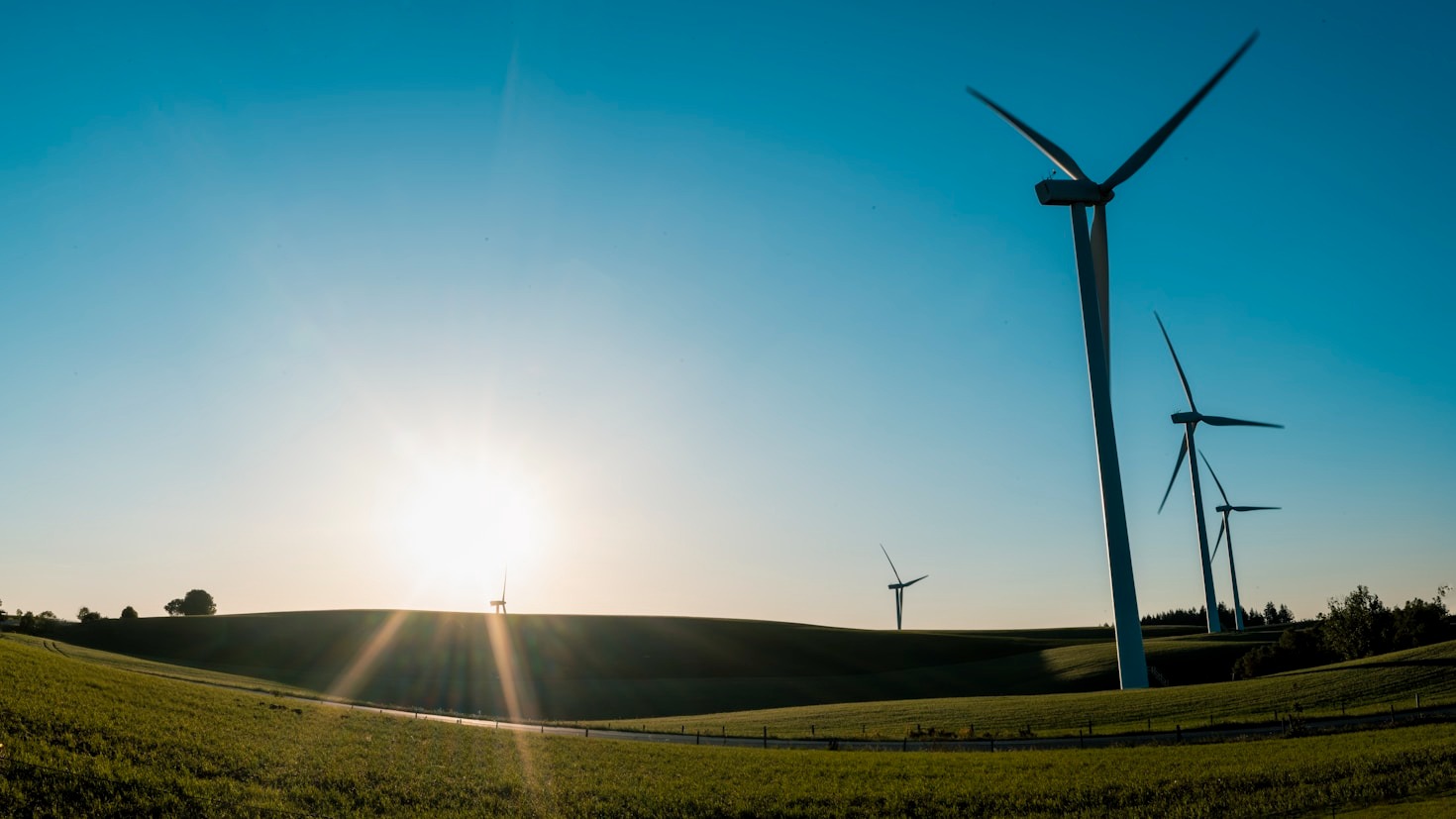 Desmistificando o Mercado: Como funcionam os créditos de carbono hoje?