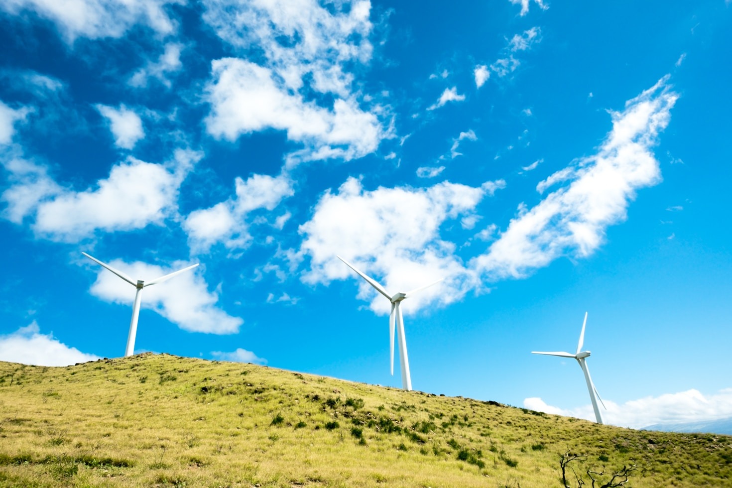 Rumo ao Net Zero: Guia Prático para Reduzir as Emissões Corporativas